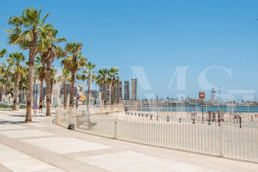 Fabulous Apartment In Historic Center By Rems Malaga Spain